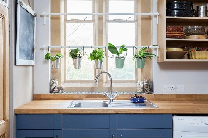 Cây xanh giúp giảm mùi hôi khó chịu trong không gian bếp