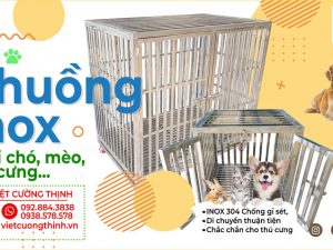 Chuồng Chó Inox